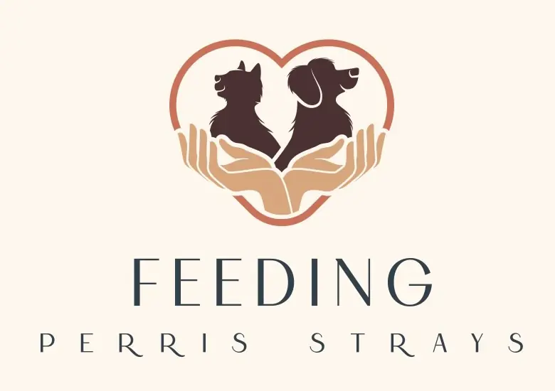 Feeding Perris Strays
